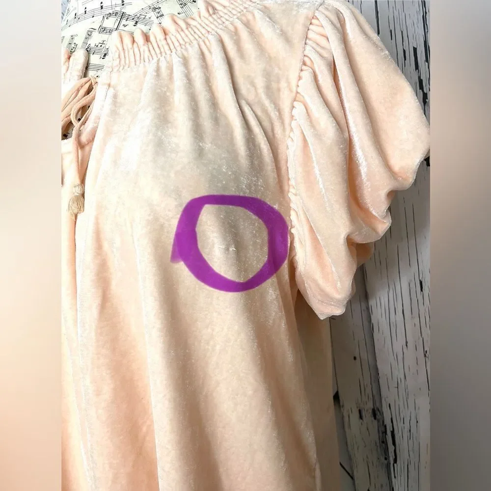 Free People Terese Velvet Top in Peach L